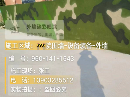 辽阳 迷彩漆喷涂价格（按平方米计费）