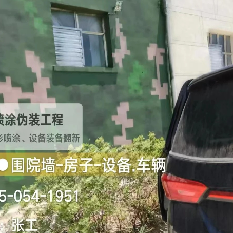 辽阳数码迷彩漆施工
